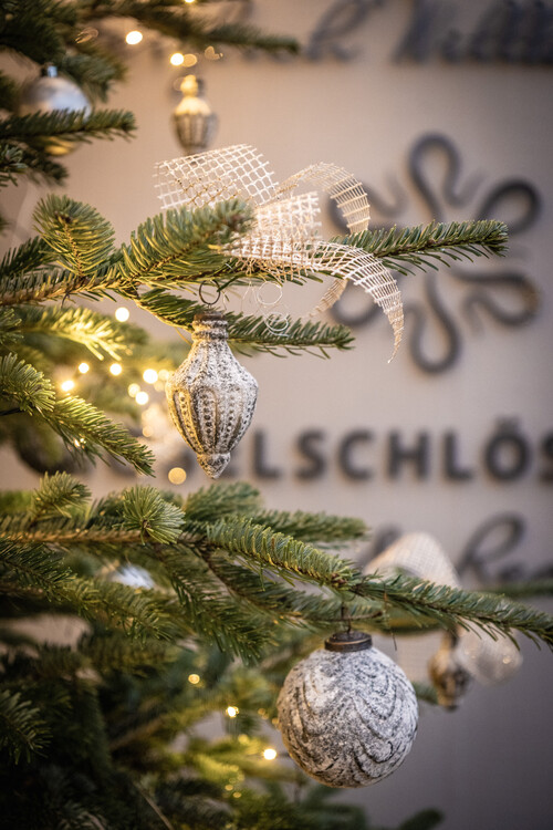 Moselschlösschen 2022 932
