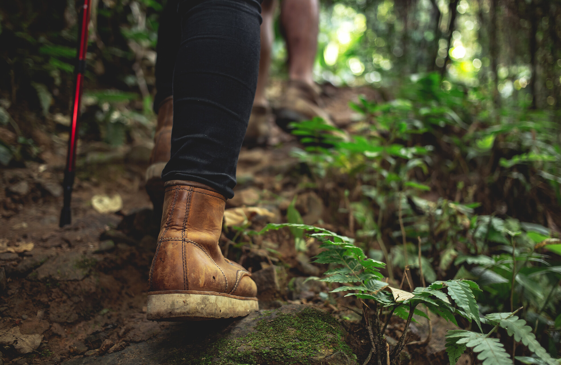 Wandern hotel moselschloesschen wellness entspannung kurzurlaub