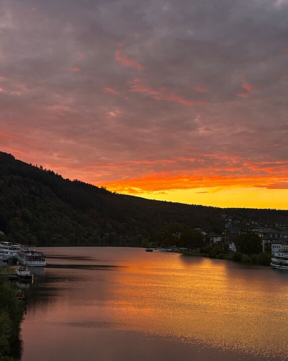 Wellnesshotel Moselschlösschen in Traben-Trarbach